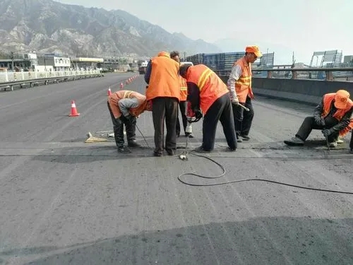 扎鲁特道路桥梁病害治理